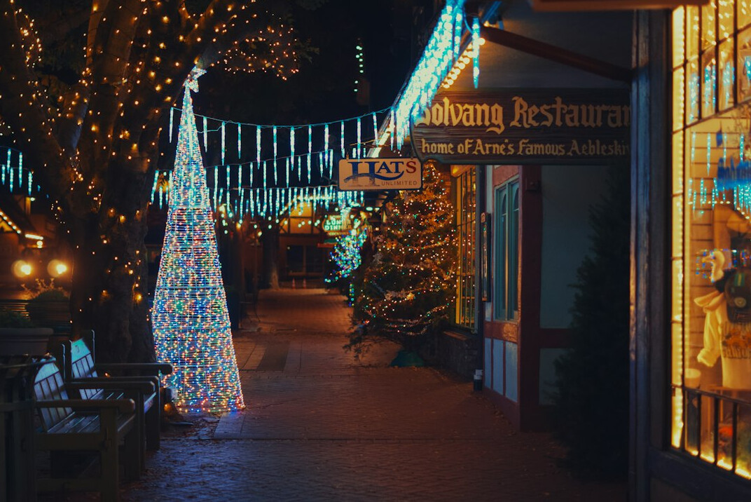 Bustling outdoor market street in a small Danish town
