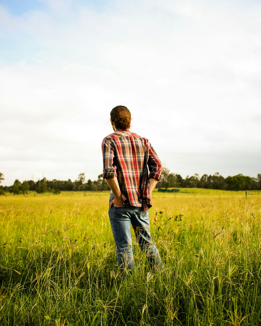 Danish farmer working in a field at golden hour