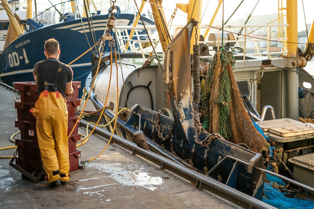 Danish harbor worker unloading fishing nets from a boat